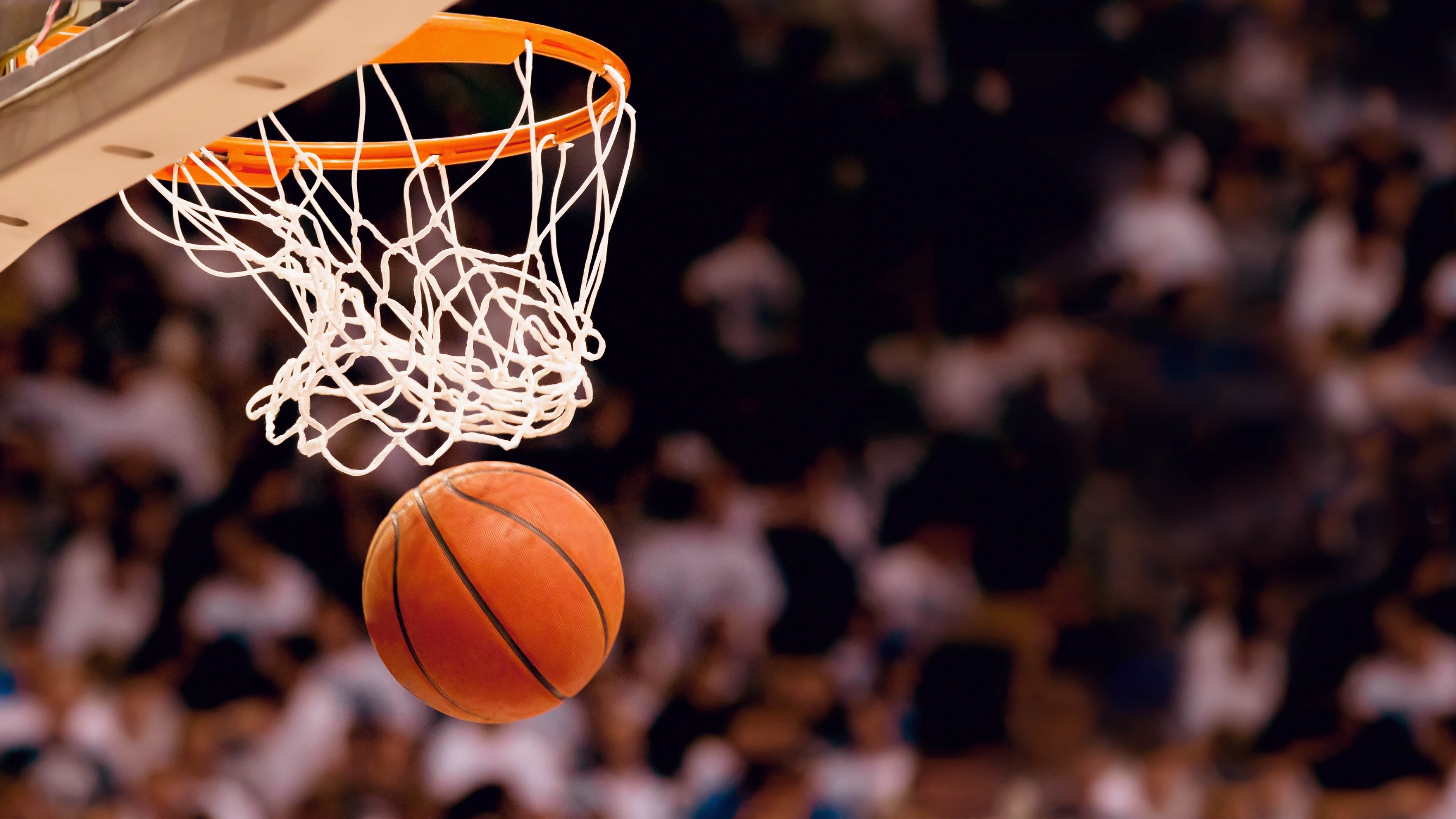 凯尔特人举办“传奇球衣背后的故事”讲座系列，nba凯尔特人传奇队员